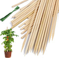 Bamboo Plant Stakes, HAINANSTRY Wood Plant Supports, Natural Bamboo Sticks by HAINANSTRY