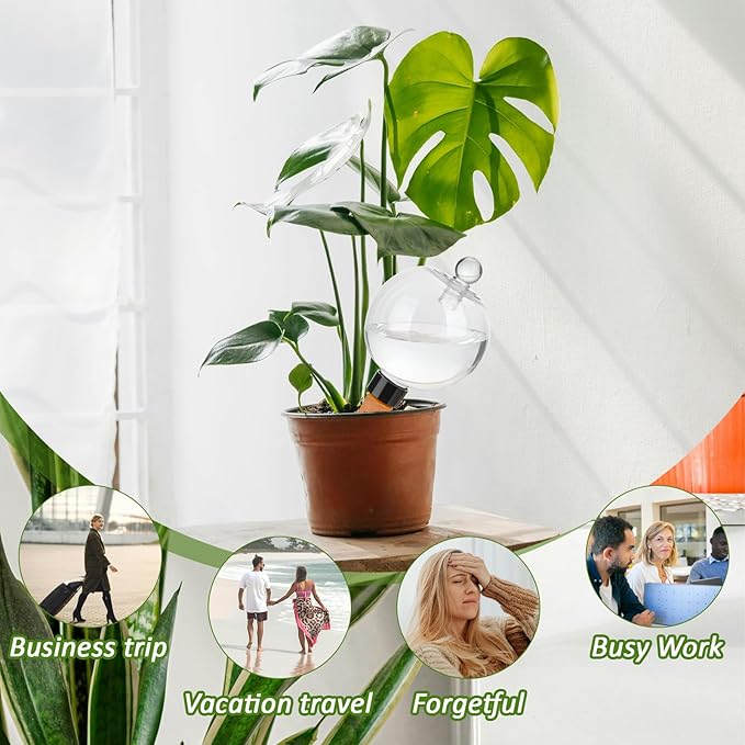 4 Pack 17.5 oz Plant Watering Globes - Image 7