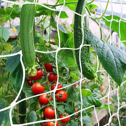  , CANAGROW Heavy-Duty Garden Plant Trellis Netting by CANAGROW