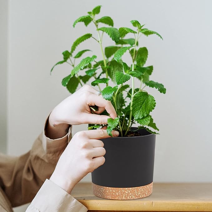 QCQHDU 5 inch Plant Pot, 2 Pack Planters - Image 5