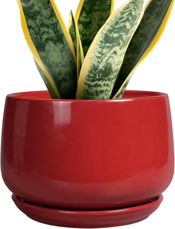 G EPGardening Ceramic Planter 7 Inch by GEPGardening