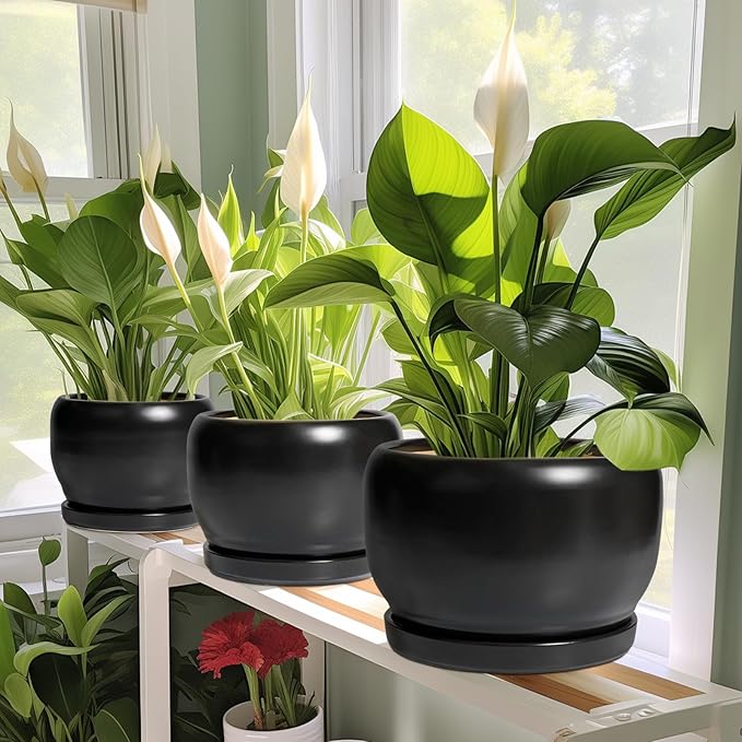 SQOWL Ceramic Flower Pot - Image 6