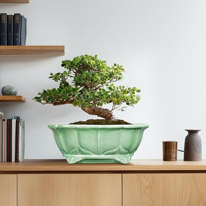 Bonsai Tree Pot - Image 8