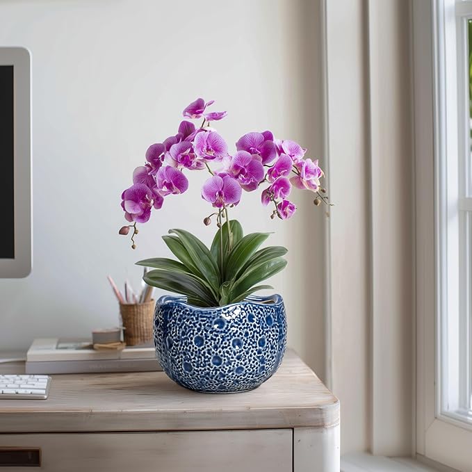 Ceramic Pots for Plants - Image 5