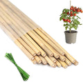 Plant Stakes 16inch, HAINANSTRY Plant Support Stakes by HAINANSTRY