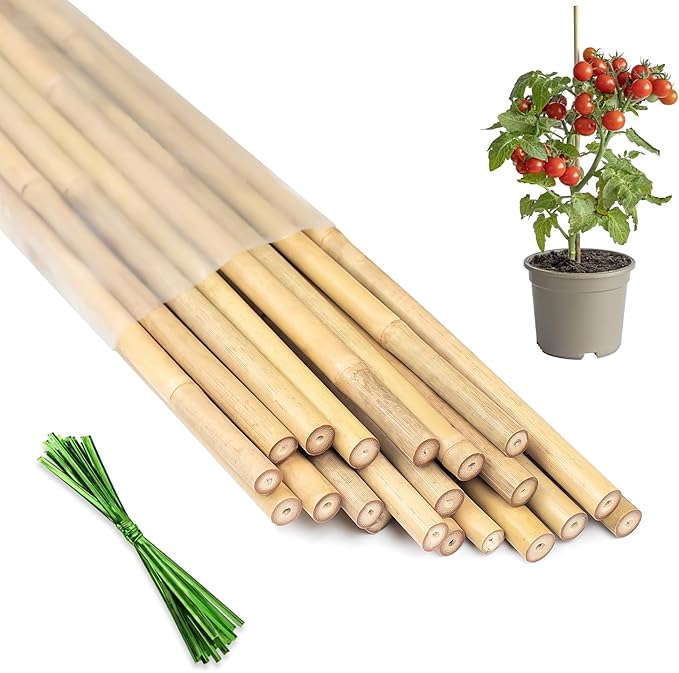 Plant Stakes 16inch, HAINANSTRY Plant Support Stakes by HAINANSTRY
