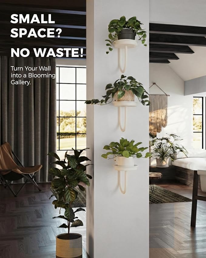 Bamworld Wall Plant Holder Wall Planters - Image 4