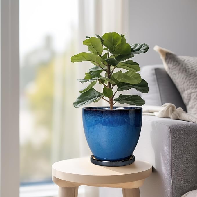 Ceramic Planters for Indoor Plants - Image 7