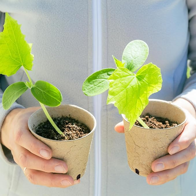 Dalzom® 60Pcs 3.1” Peat Pots - Image 7