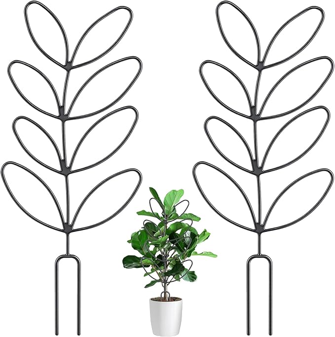 2 Pcs Plant Trellis Indoor, Plant Support by Unknown