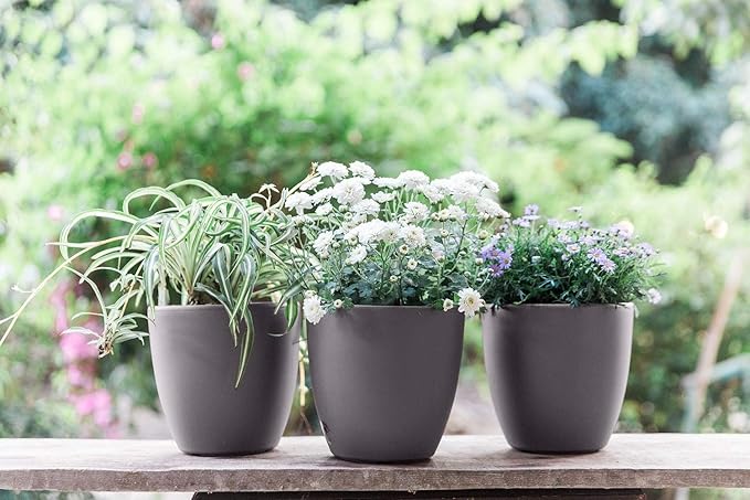 GARDENIX DECOR 7'' Self Watering planters - Image 8