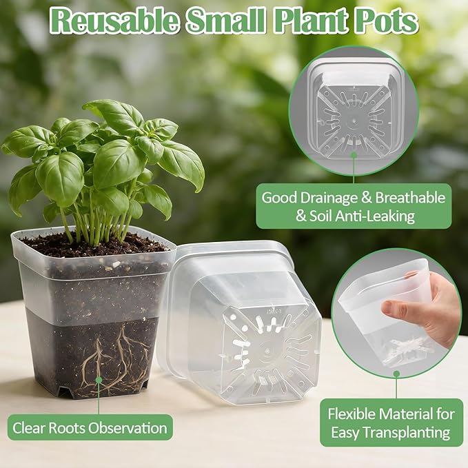 60 Pcs Clear Square Nursery Pots 4 Inch, Reusable Seedling Pots - Image 2