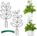 AUGSUN 2 Packs Indoor Plant Trellis Garden Trellis by AUGSUN