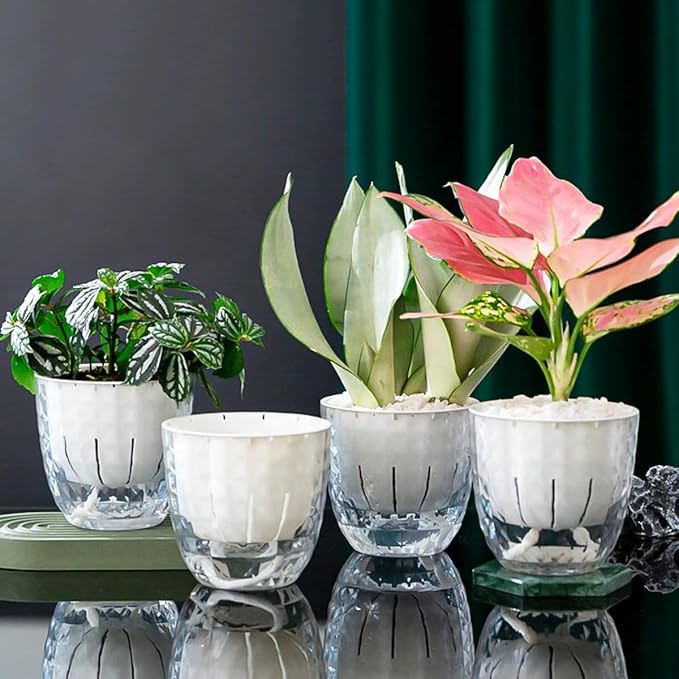 6 Pack 4 inch Self Watering Pots Planters - Image 8