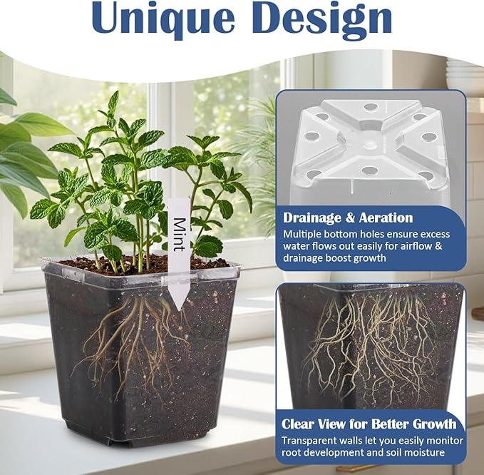 5.5 Inch Clear Square Nursery Pots - Image 2