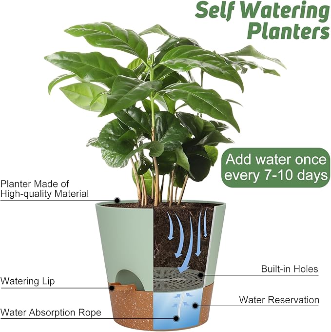 10-Inch Plant Pots, Self-Watering Planters - Image 5