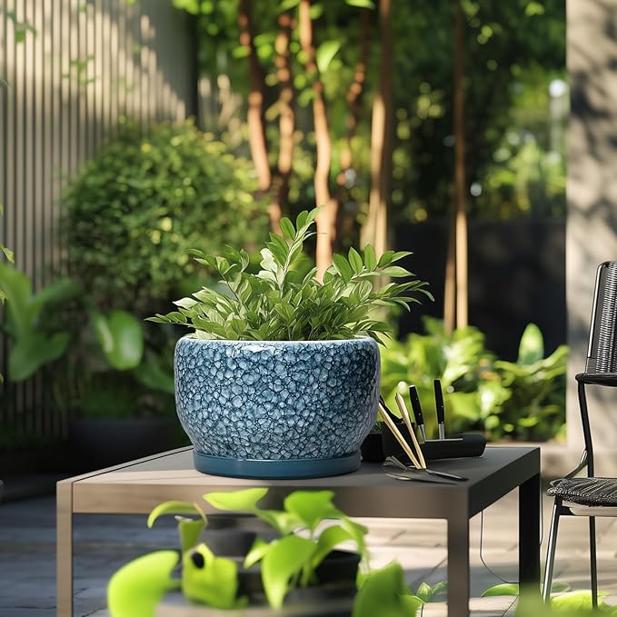 SQOWL Ceramic Planter - Image 5
