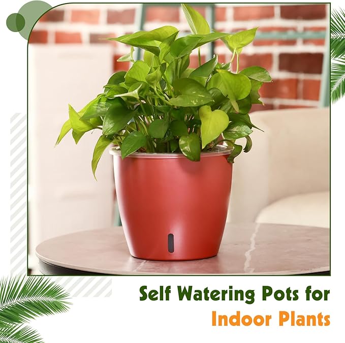 Self Watering Pots for Indoor Plants, Small African Violet Pots - Image 5