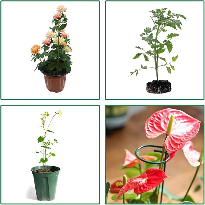 8 Pack Plant Stakes, Plant Support Stakes - Image 5
