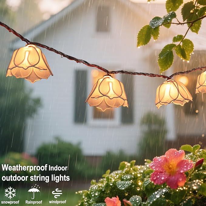 Decorative String Lights Plug in - Image 6