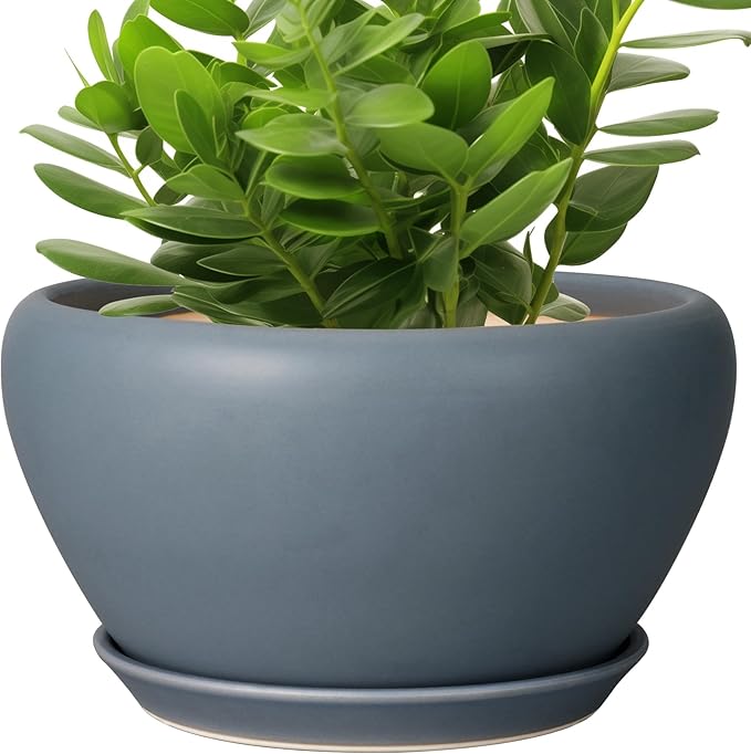 Ceramic Plant Pot by Ceramicfor