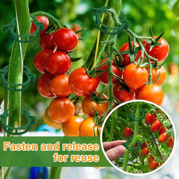 200 Pcs Plant Support Tomato Clips, Garden Clips, Crop Clips - Image 6