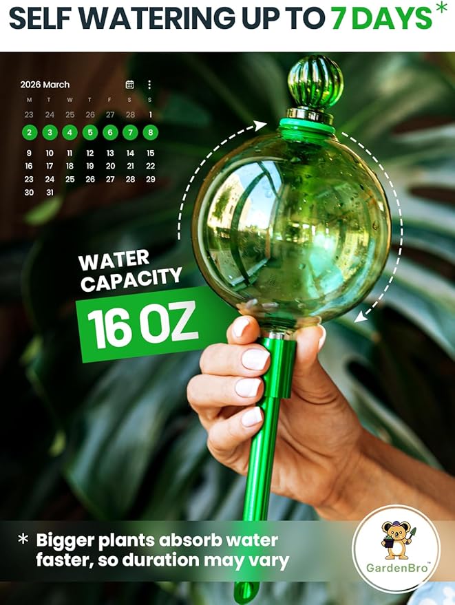 16 Oz Plant Watering Globes for Indoor Plants - Image 2