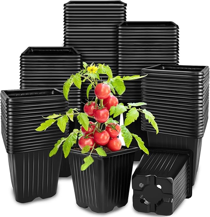 Anyumocz 100Pcs Square Plant Nursery Pots, 3.5 Inch Plastic Pots by Anyumocz