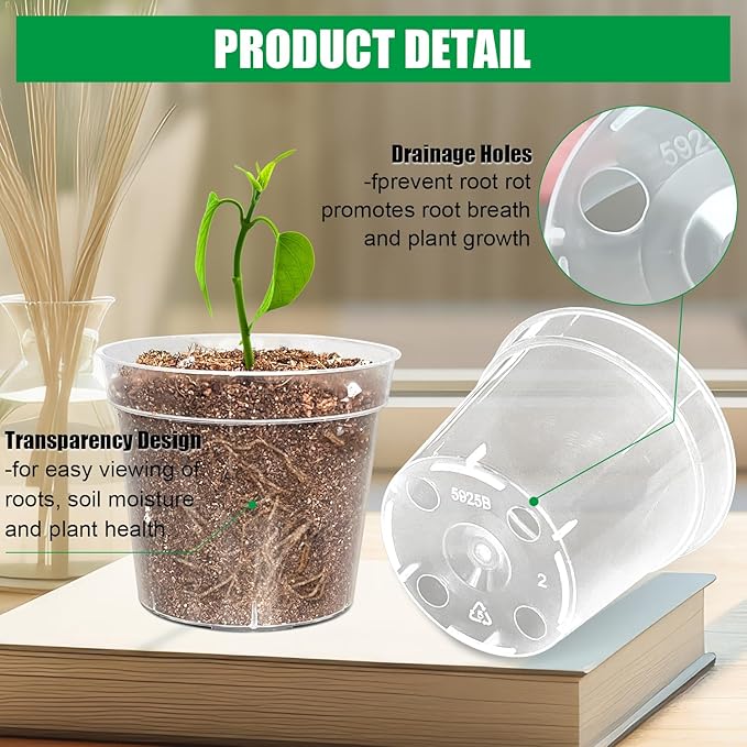 BTPLASTIK 50 Pack 2.5 Inch Clear Nursery Pots - Image 3