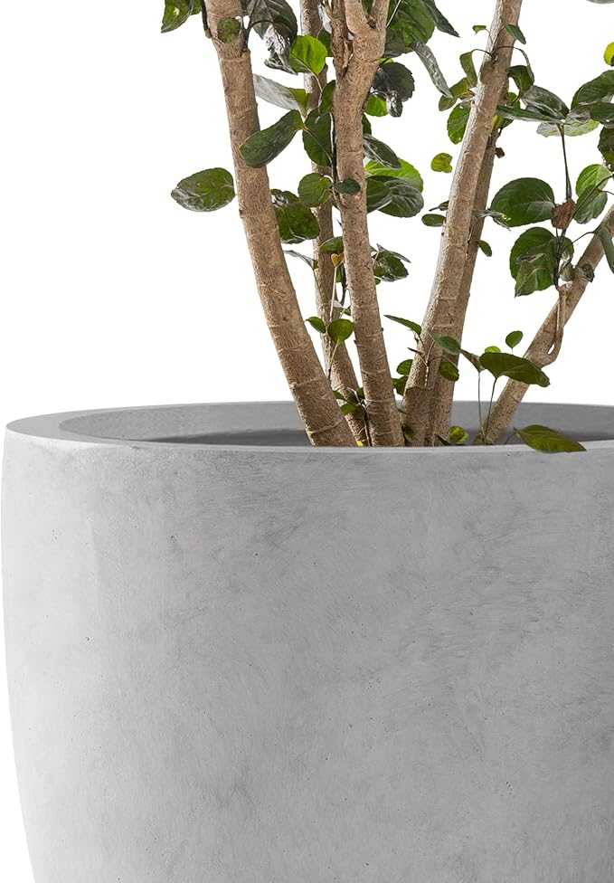 Kante 20", 13.4" Dia Round Concrete Planters, Outdoor Indoor Modern Decorative - Image 5