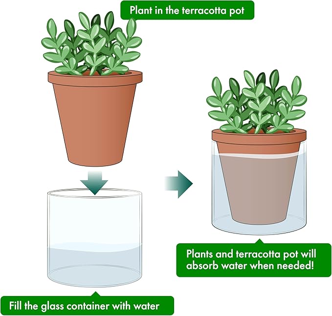 D'vine Dev 4 Inch Design Self Watering Pot - Image 4