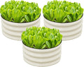 SnugNiture 3 Pcs 2x2x1ft Round Galvanized Raised Garden Bed Kit Outdoor by snugniture
