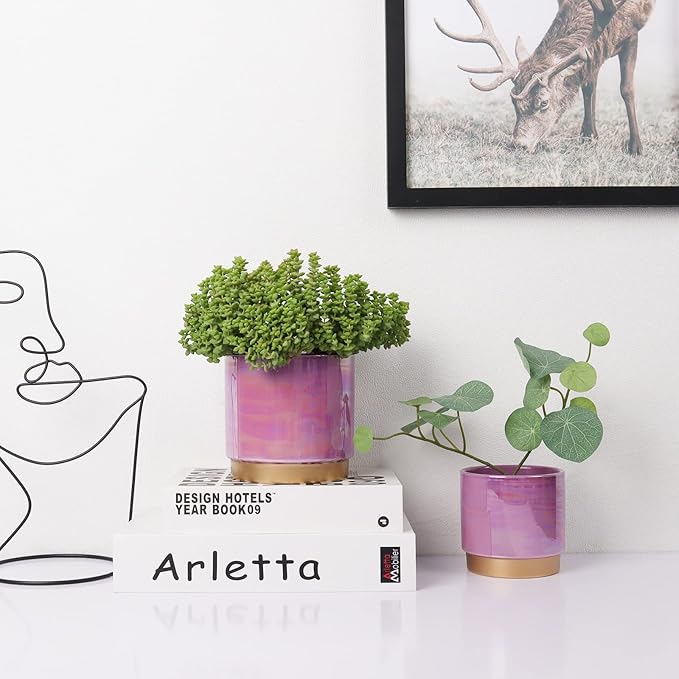 Gepege Ceramic Pots for Plants, Rainbow Pearl Glaze Planter - Image 6