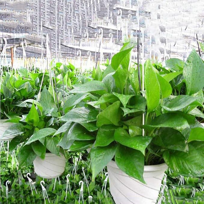 VIDELLY 4 Pieces Plastic Hanging Planters, 5.9 in Dia x 3.54 in H, Small Flower - Image 7