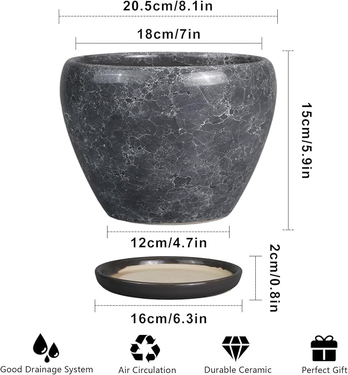 8 Inch Plant Pot - Image 3