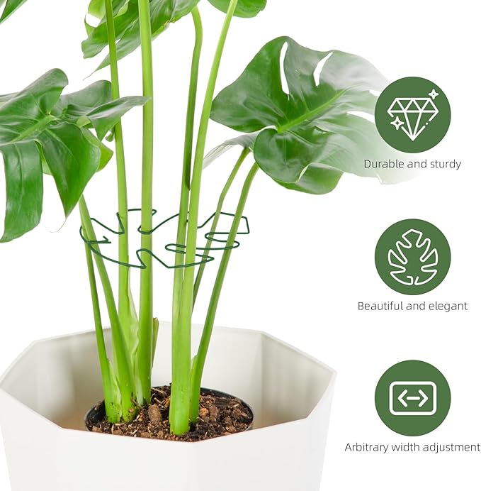 6PCS Iron Monstera Plant Support, Uniquely Designed Indoor Plant Accessories - Image 4