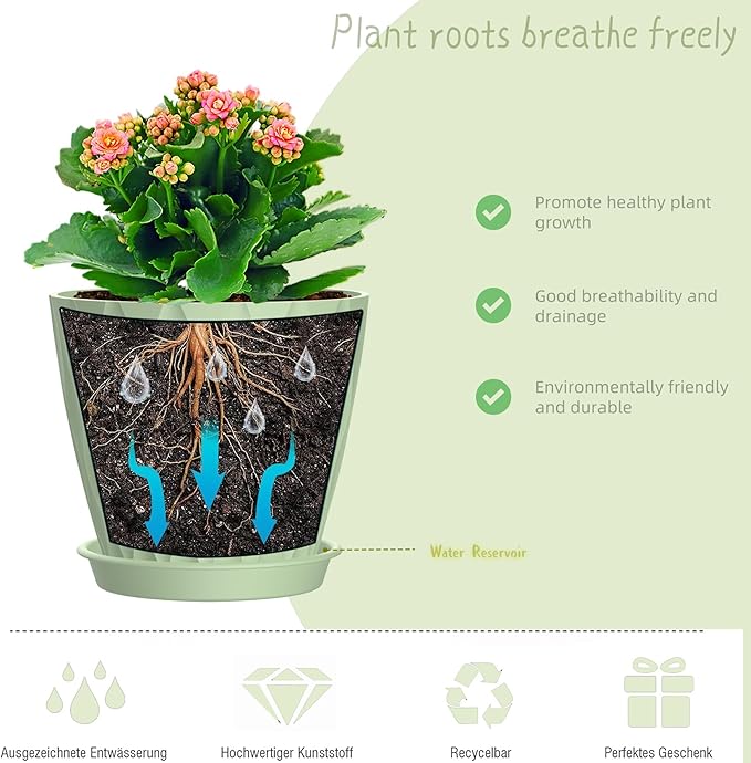 6 Inch Plant Pots, 6 Pack Indoor Flower Pots, Planters - Image 4