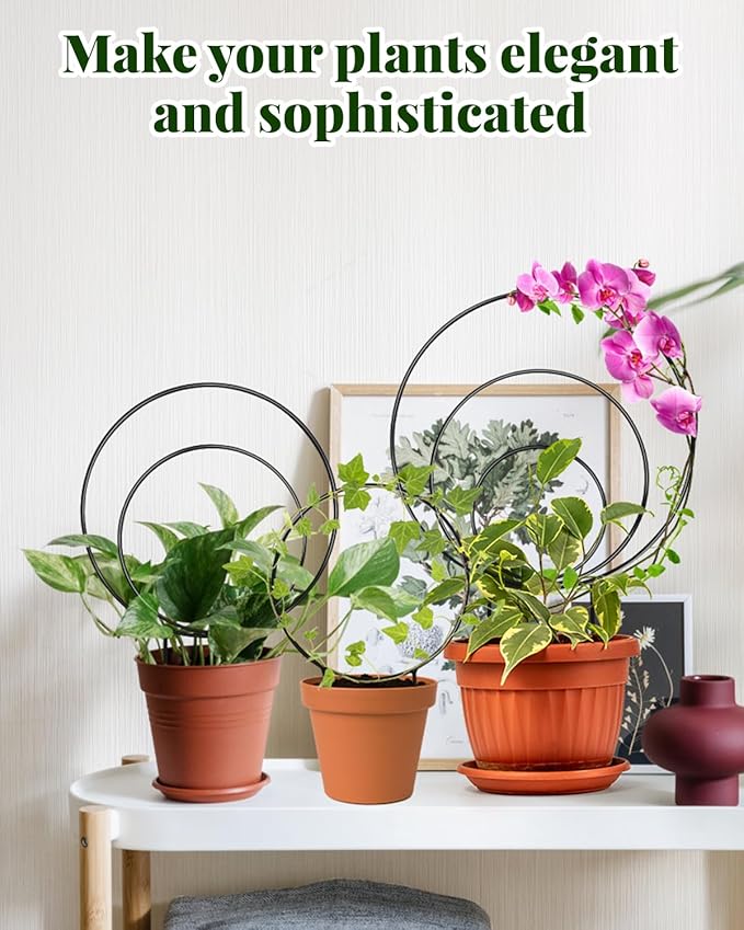 3 Pcs Unique Round Hoya Garden Trellis, Different Small Houseplant Trellis - Image 5