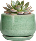 G EPGardening Ceramic Pots for Plants by GEPGardening