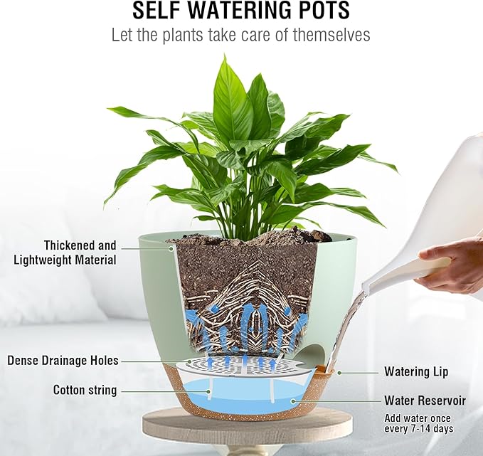 10 inch Self Watering Hanging Planters - Image 2