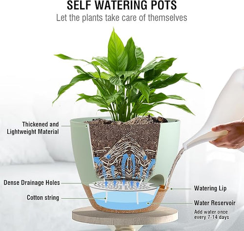 10 inch Self Watering Hanging Planters - Image 2
