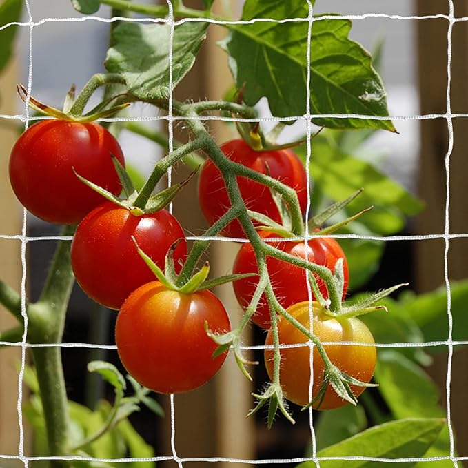 Tcamp Trellis Netting for Plants - Image 6