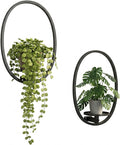 2 Pack Plant Stand Indoor Outdoor Hanging Planters by NUZZERO