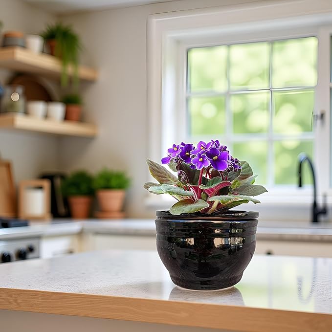 African Violet Pots Self Watering Round Ceramic Violet Pot - Image 7