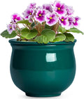 6 Inch Self Watering Plant Pots, Ceramic African Violet Pot by Teagas