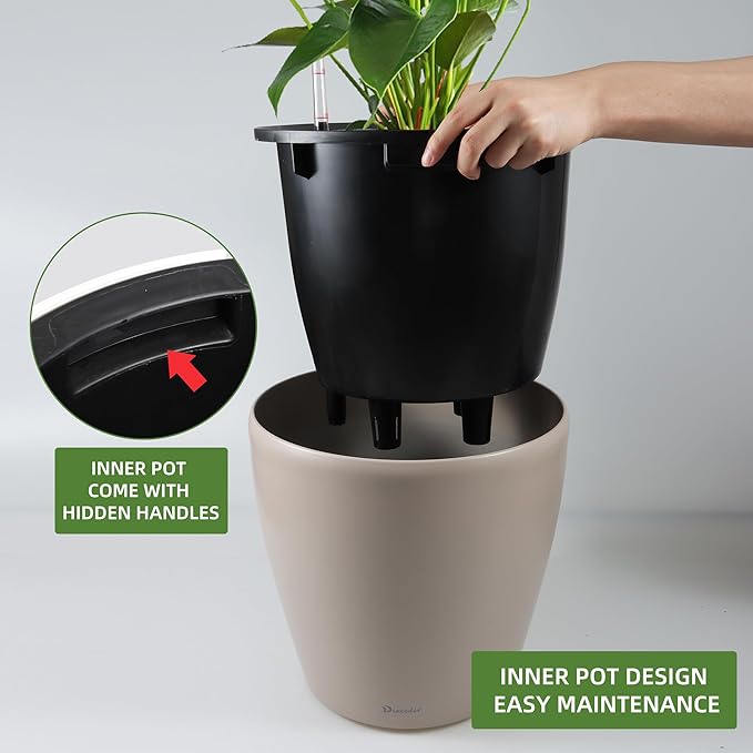 Dexceder 13x12 Self Watering Planter - Image 4