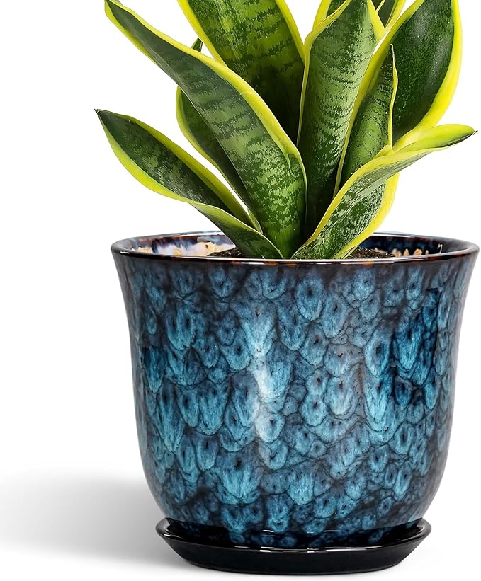8 Inch Plant Pot by SUNPOTFOR