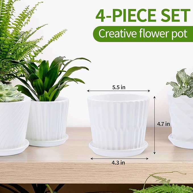 Plant Pots - 5.5 Inch Cylinder Ceramic Planters - Image 2