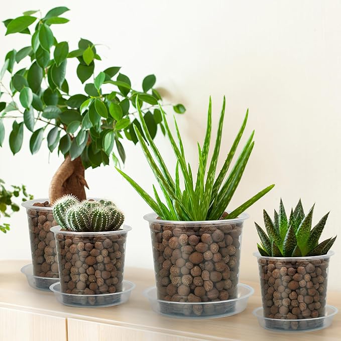 4 Inch Clear Nursery Pots for Plants - Image 6