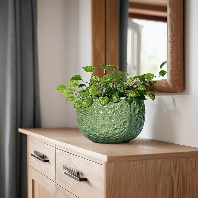 8 Inch Plant Pot - Image 7